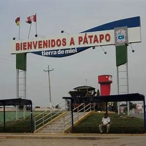 Patapo