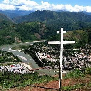 Perene