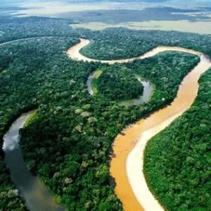Ucayali