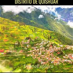 Quishuar
