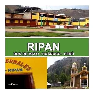 Ripan