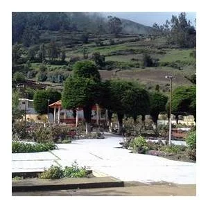 Succha