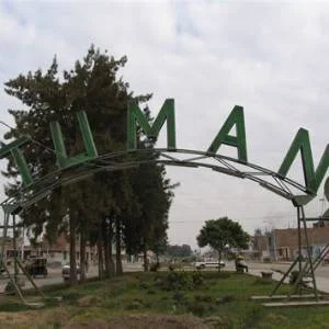 Tumán