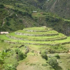 Uranmarca