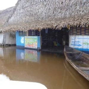 Urarinas