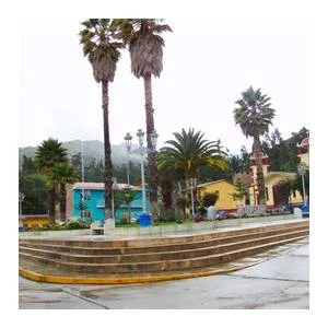Yungar